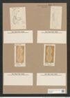 Navicula chersonensis var. apiformis Grun. (de-Toni-Nr.: Genus 1, Species 266) Zeichnungen Sammlung Grunow Nr. 618 (NHMW-BOT-W0366981)